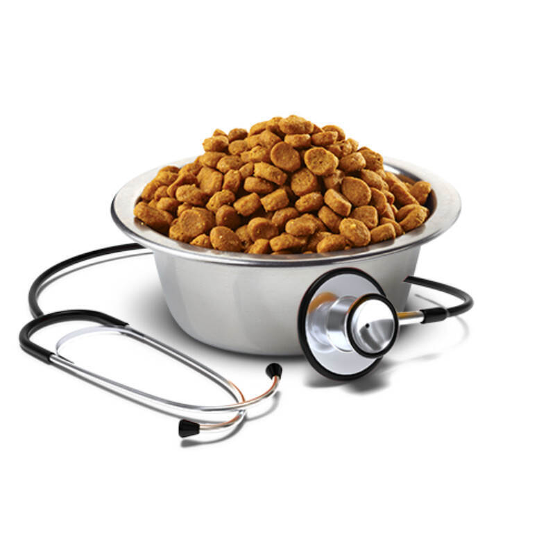 Сухий корм Farmina Vet Life Natural Diet Cat Obesity для котів при ожирінні та надмірній вазі 400 г