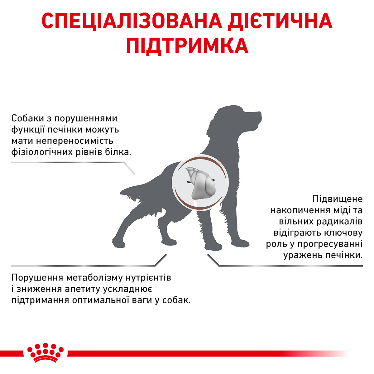 Сухий корм Royal Canin Hepatic Dog для собак при захворюваннях печінки 1,5кг