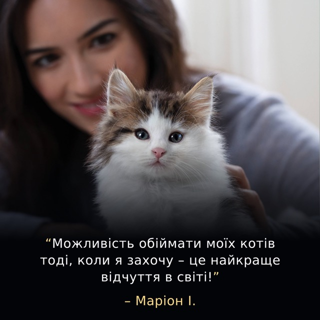 Сухий корм Purina Pro Plan LiveClear Kitten Turkey для кошенят,зниження алергенів та здоровий розвиток, з індичкою 1,4 кг