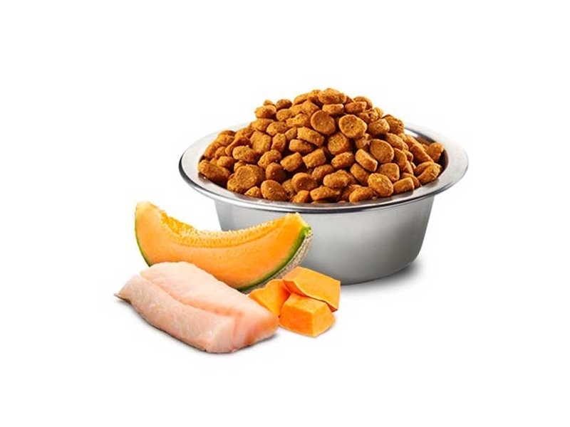 Сухий корм Farmina N&D Ocean Puppy Medium & Maxi Cod, Pumpkin & Cantaloupe Melon для цуценят середніх і великих порід з тріскою та динею 2,5 кг