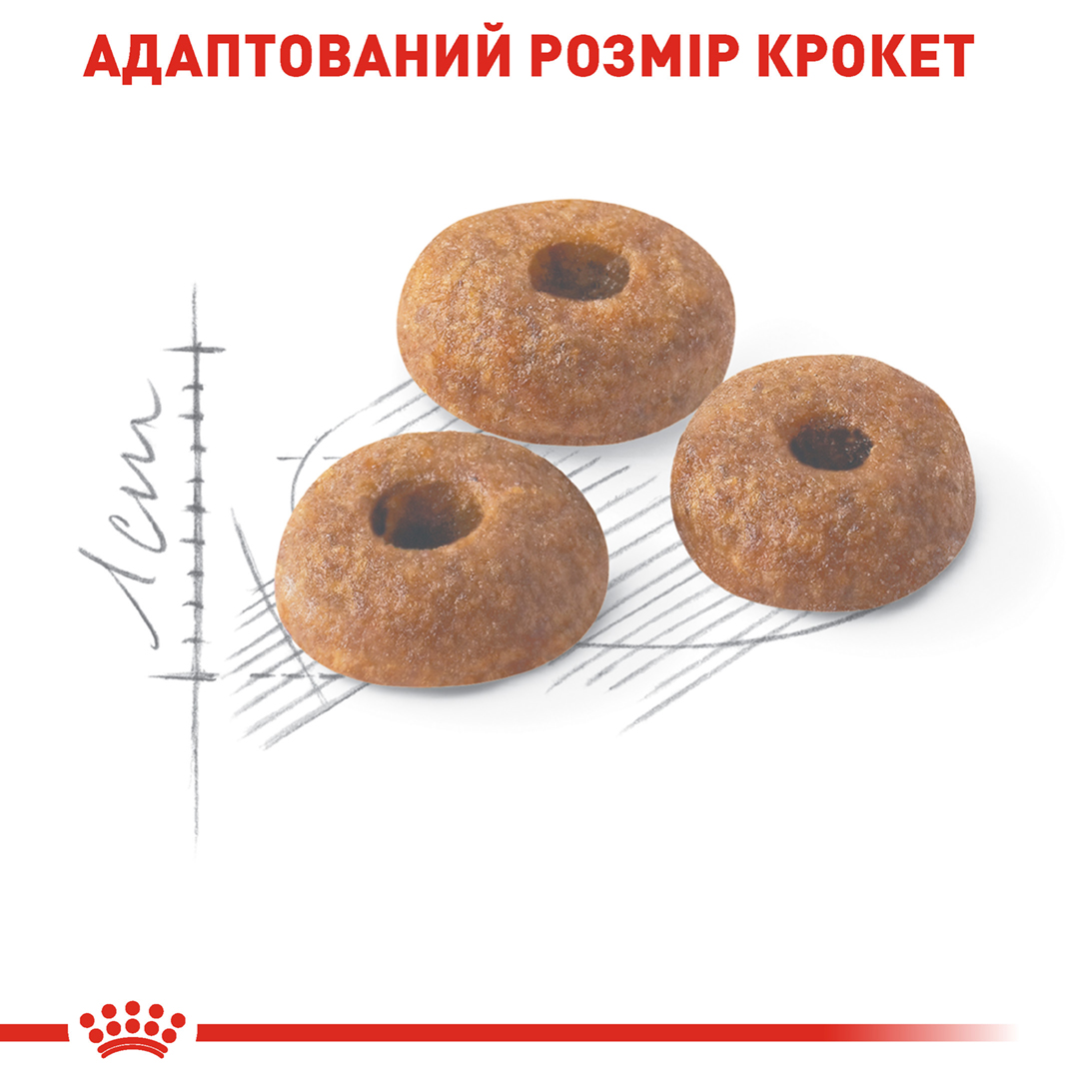 Сухий корм Royal Canin Fit 32 для котів активних 10кг