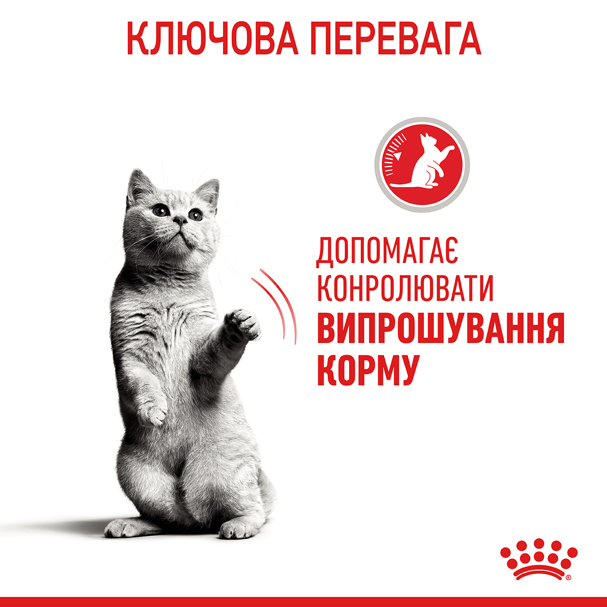 Сухий корм Royal Canin Appetite Control Care для стерилізованих котів контроль ваги 2кг