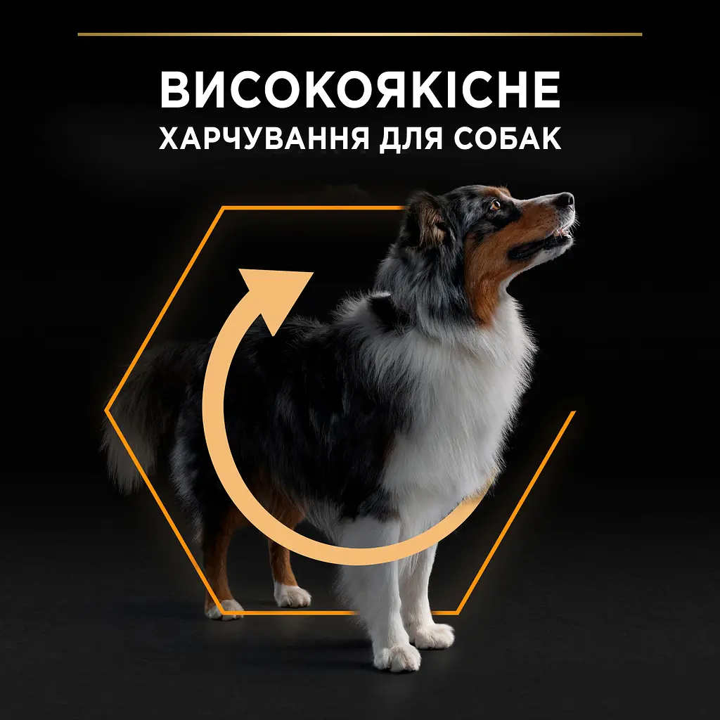Сухий корм Purina Pro Plan Dog Adult Medium Everyday Nutrition для собак середніх порід з куркою 3кг