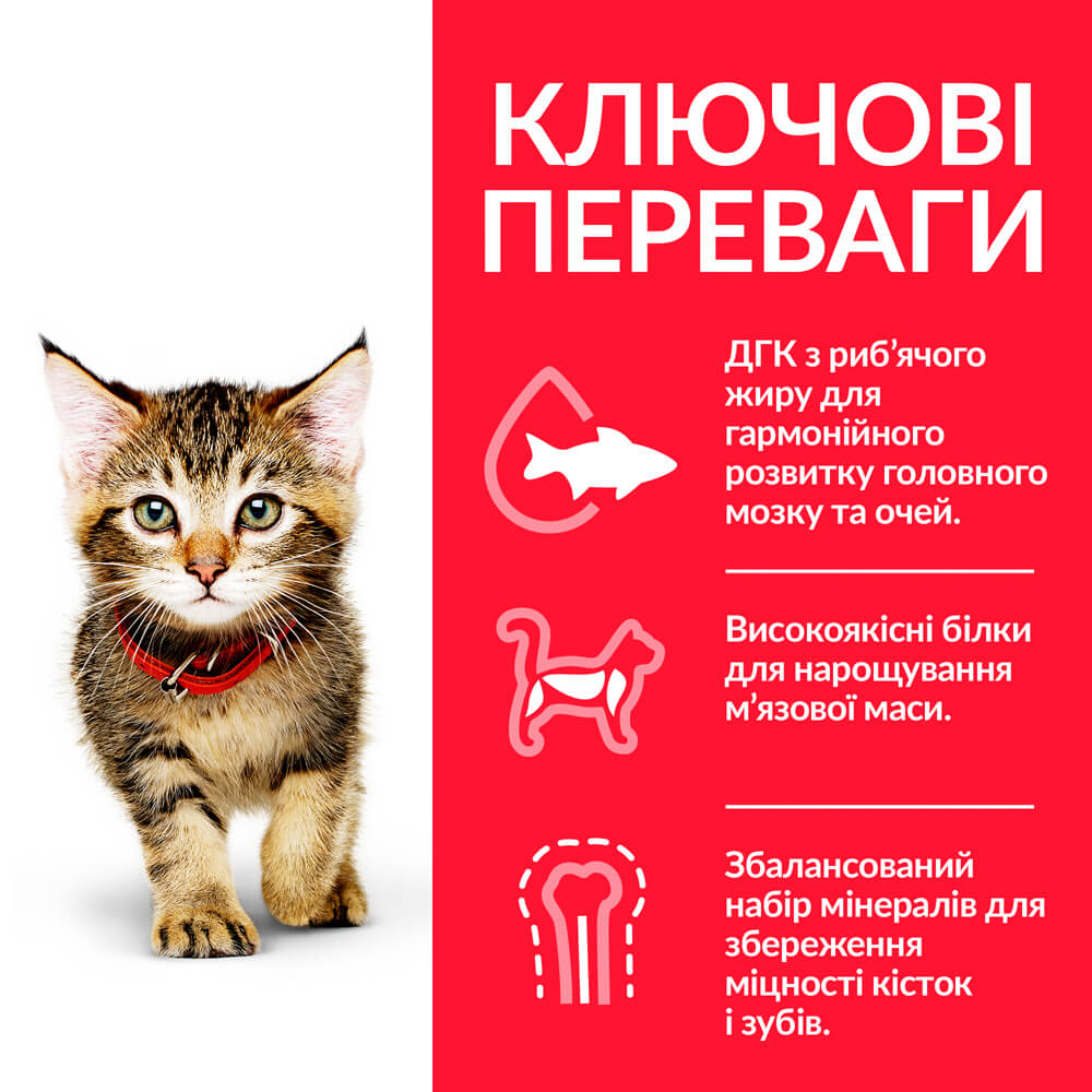 Сухий корм Hill's SP Kitten Tuna для кошенят з тунцем 300г