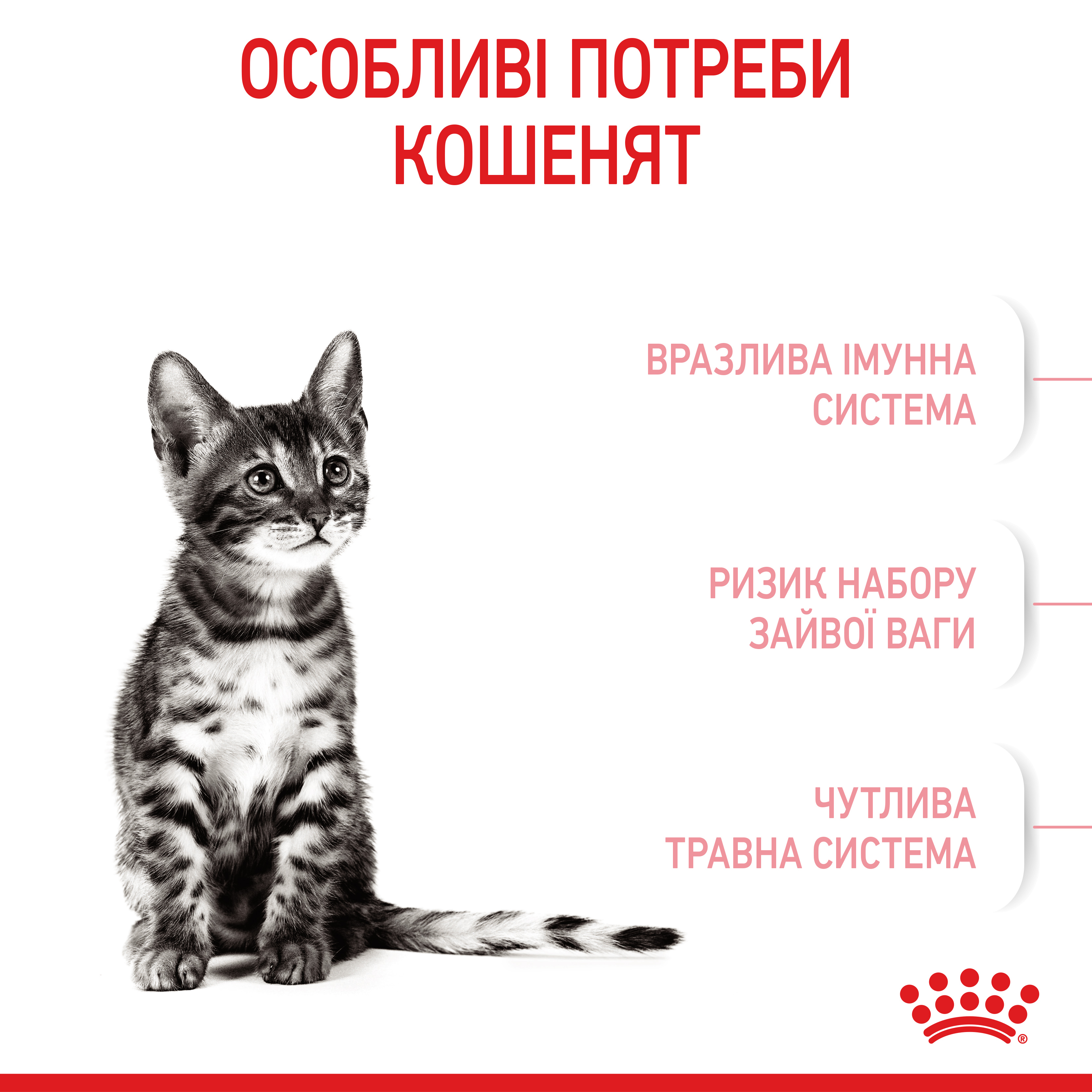 Сухий корм Royal Canin Kitten Sterilised для стерилізованих кошенят 400г
