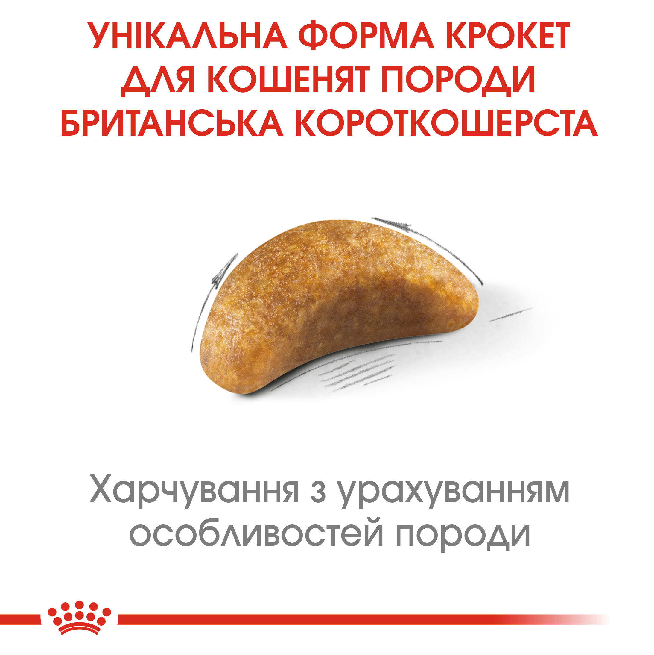Сухий корм Royal Canin British Shorthair Kitten для кошенят породи Британська короткошерстна 2кг