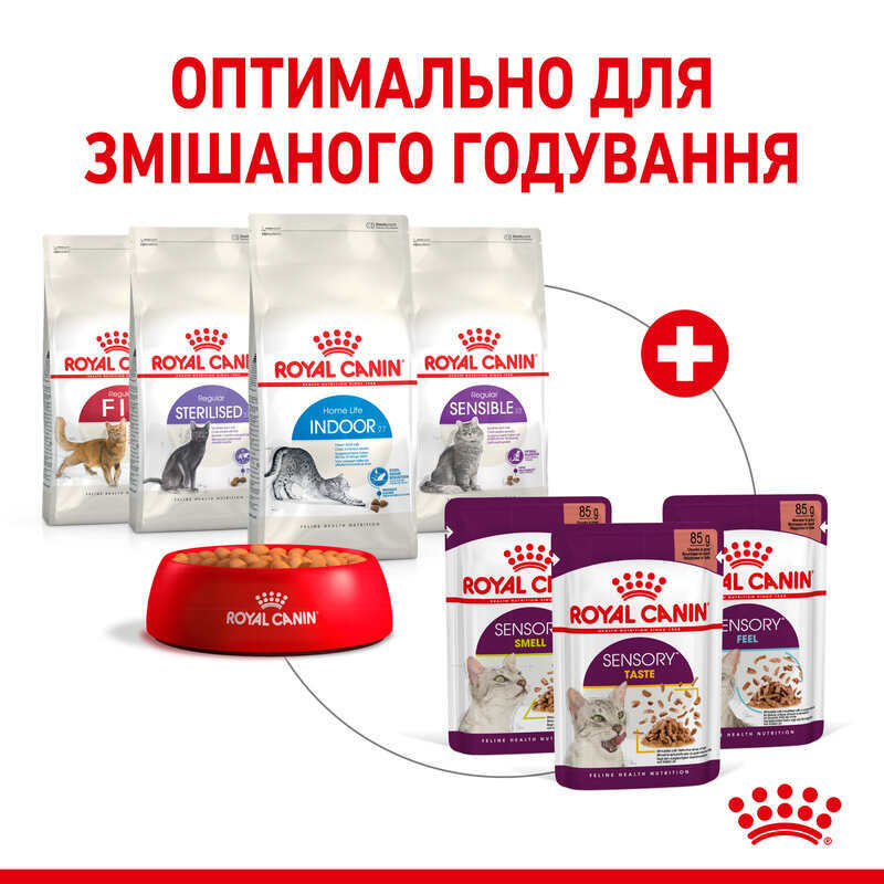 Вологий корм Royal Canin Sensory Feel in Jelly для котів в желе-сенсорна формула з апетитною текстурою для вибагливих улюбленців 85 г