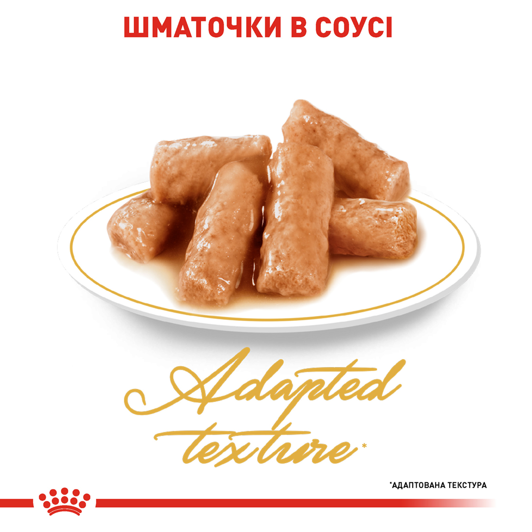 Вологий корм Royal Canin British Shorthair для котів породи Британська короткошерстна