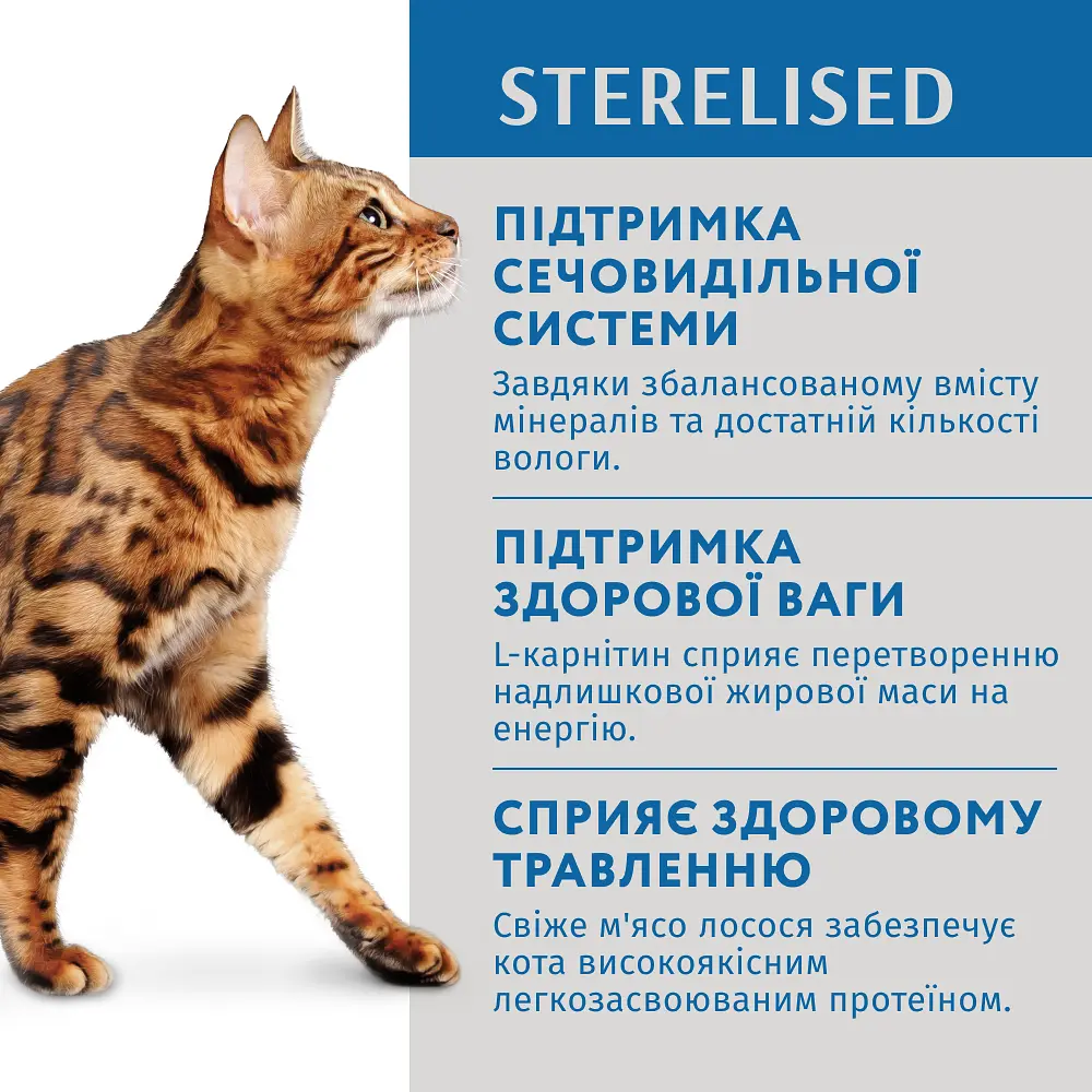 Вологий корм OptiMeal Adult Cats Sterilised для стерилізованих котів з лососем та чорницею в желе 85 г