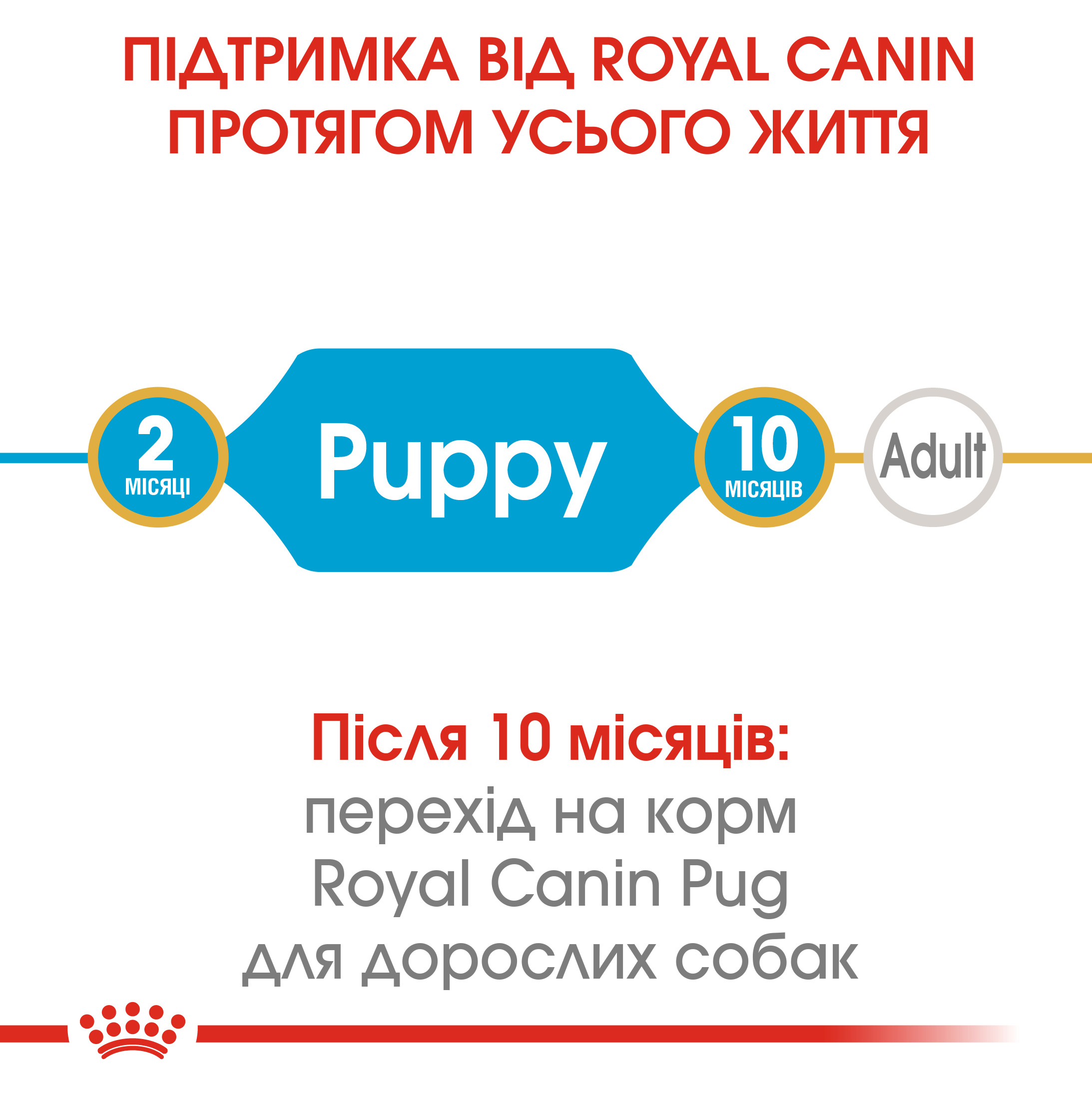 Сухий корм Royal Canin Pug Puppy для цуценят породи Мопс 1,5кг