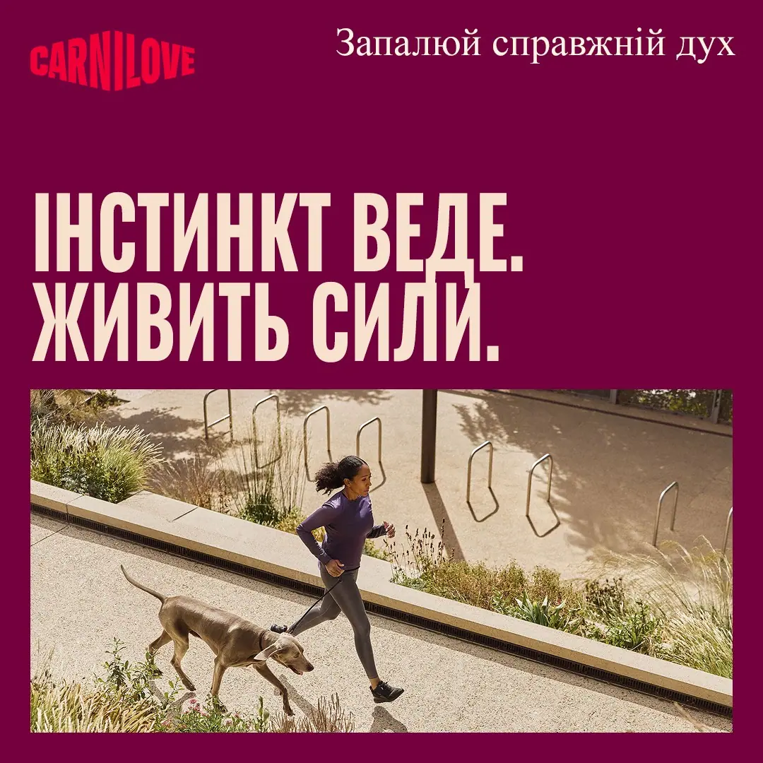 Сухий корм Carnilove Active Salmon & Turkey Large Breed для дорослих собак великих порід з лососем та індичкою,4 кг