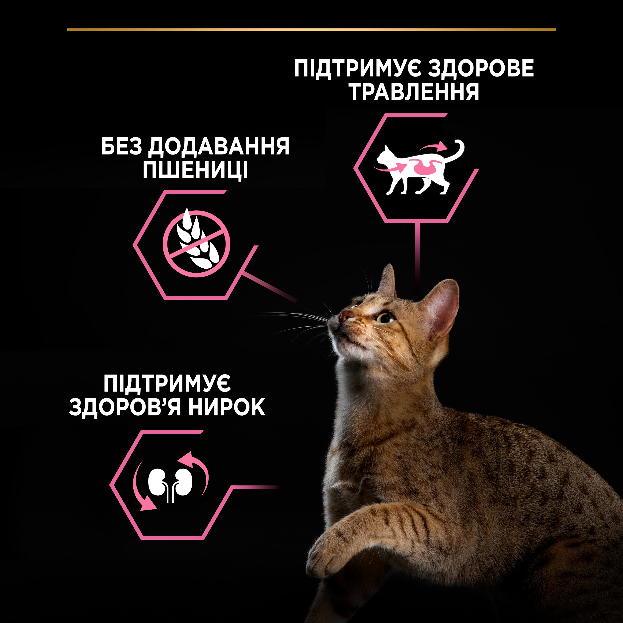 Сухий корм Purina Pro Plan Delicate Turkey для котів з індичкою 1,5кг