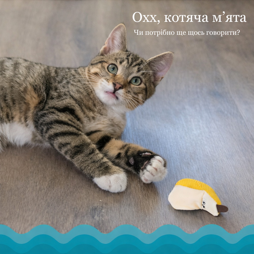 Catstages Dental Banana Іграшка для котів Банан