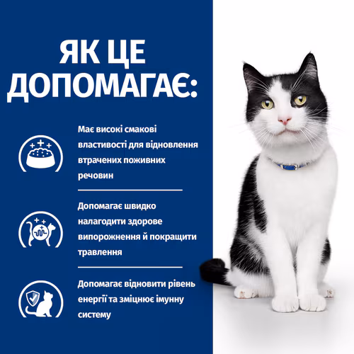 Сухий корм Hill's PD Feline i/d для котів при шлунково-кишкових захворюваннях 3кг