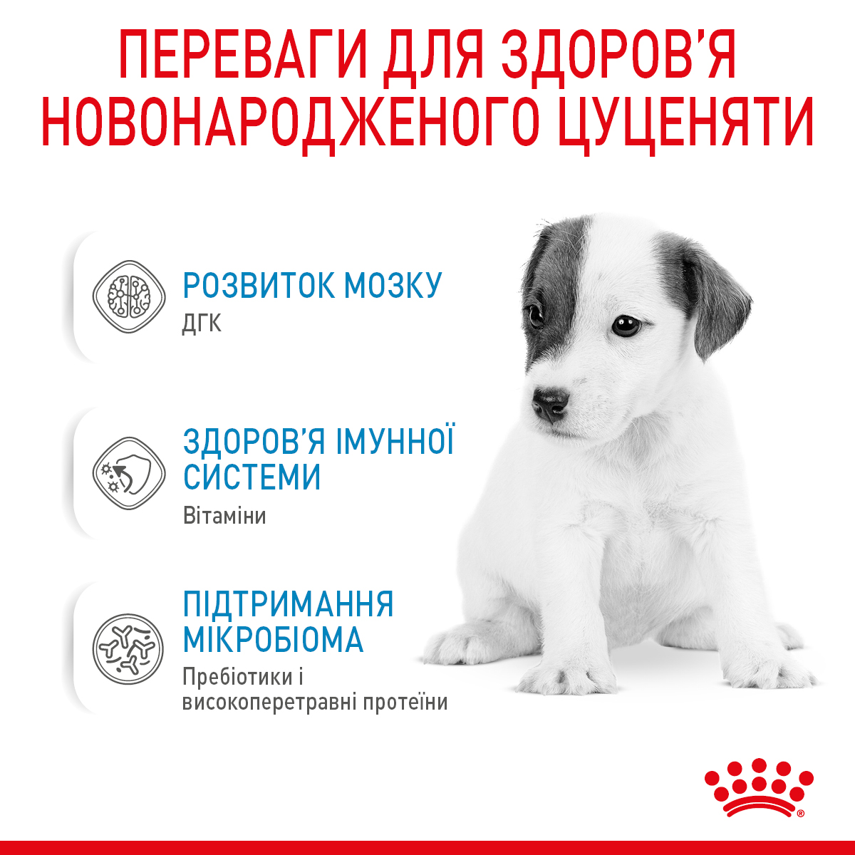 Замінник молока Royal Canin Baby Dog Milk для цуценят 100г