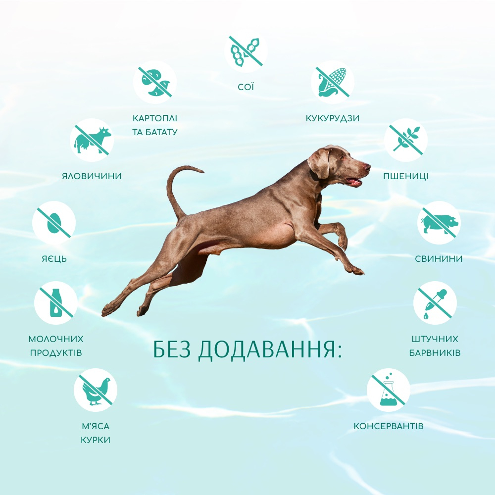 Сухий корм OptiMeal Dog Beauty Fitness для собак 4кг