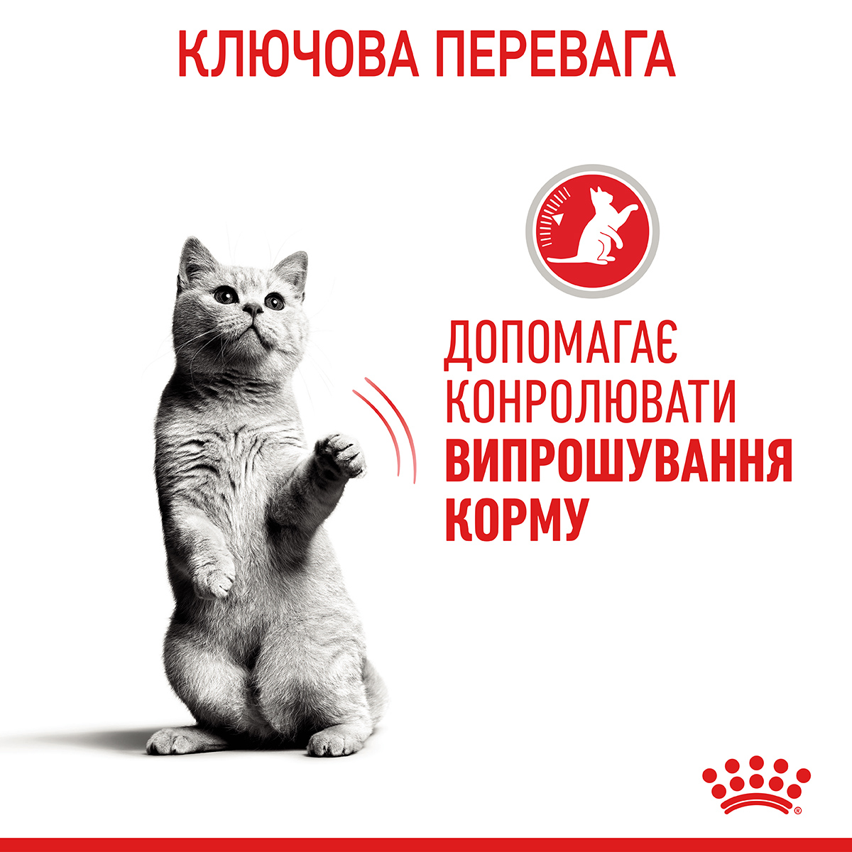 Вологий корм Royal Canin Appetite Control Care in Gravy для котів контроль апетиту