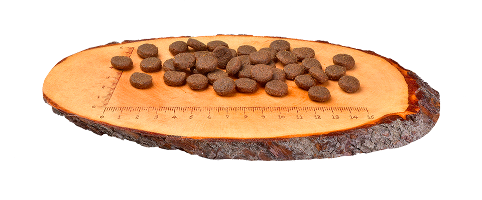 Сухий корм CarniLove Salmon&Turkey Puppy Large Breed для цуценят великих порід 1,5кг