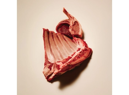 Вологий корм Carnilove Grain Free Dog Adult Lamb & Wild Boar для собак з ягням та диким кабаном,400 г