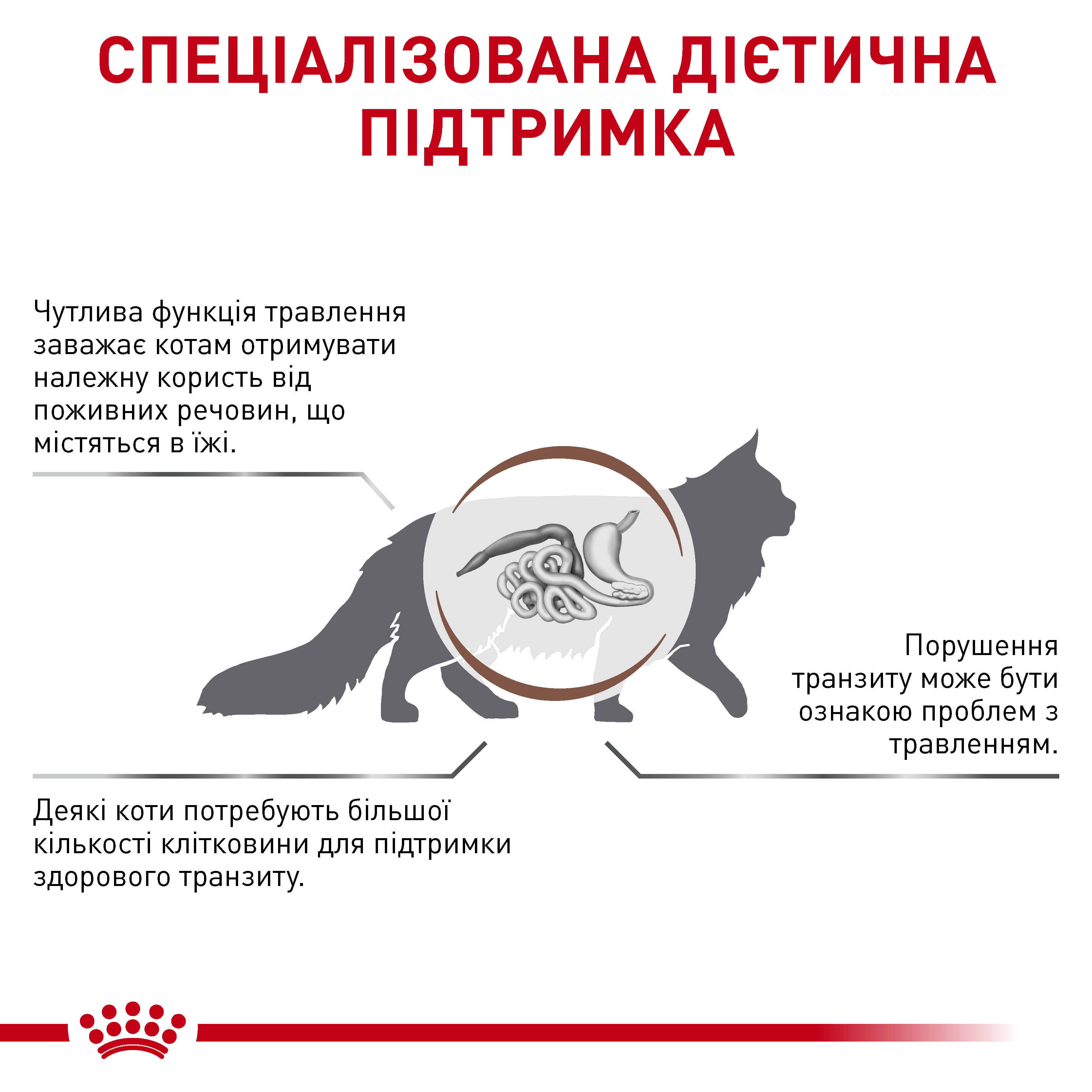 Сухий корм Royal Canin Gastrointestinal Fibre Response для котів при порушеннях травлення 4кг