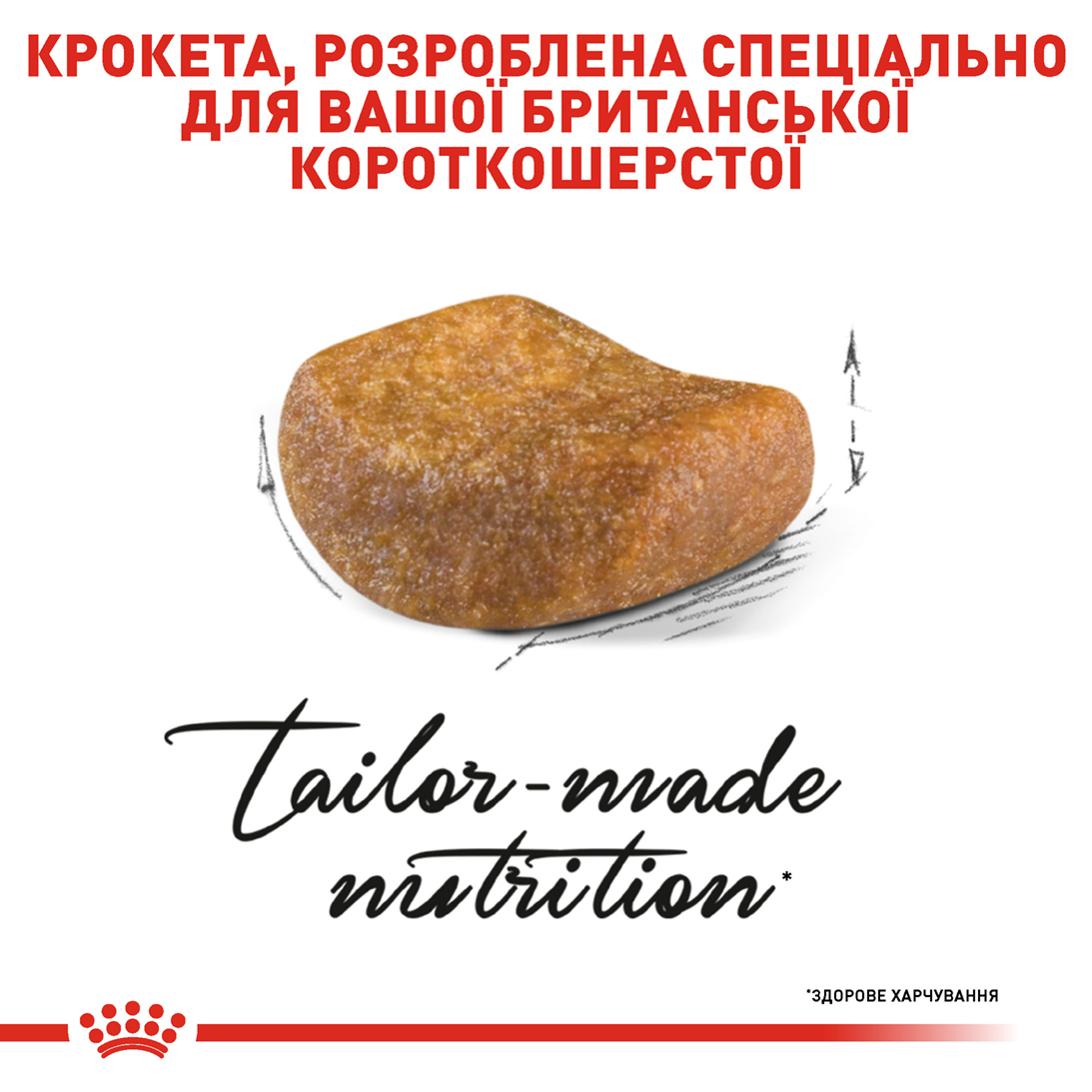 Сухий корм Royal Canin British Shorthair для котів породи Британська короткошерстна 4кг