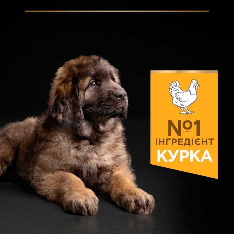 Purina Pro Plan Puppy Large Robust Healthy Start для цуценят великих порід з куркою 12 кг