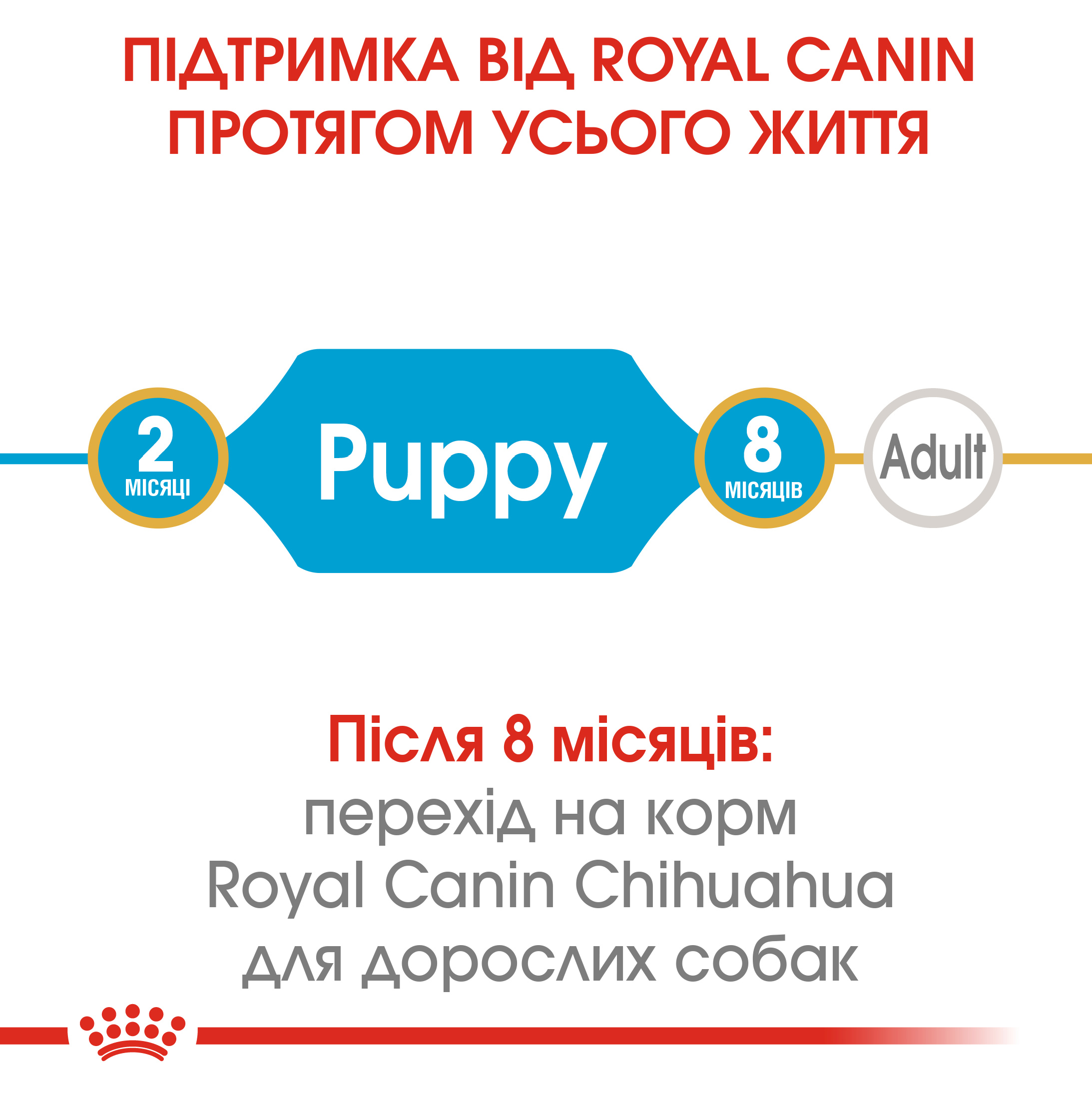 Сухий корм Royal Canin Chihuahua Puppy для цуценят чихухуа 500г