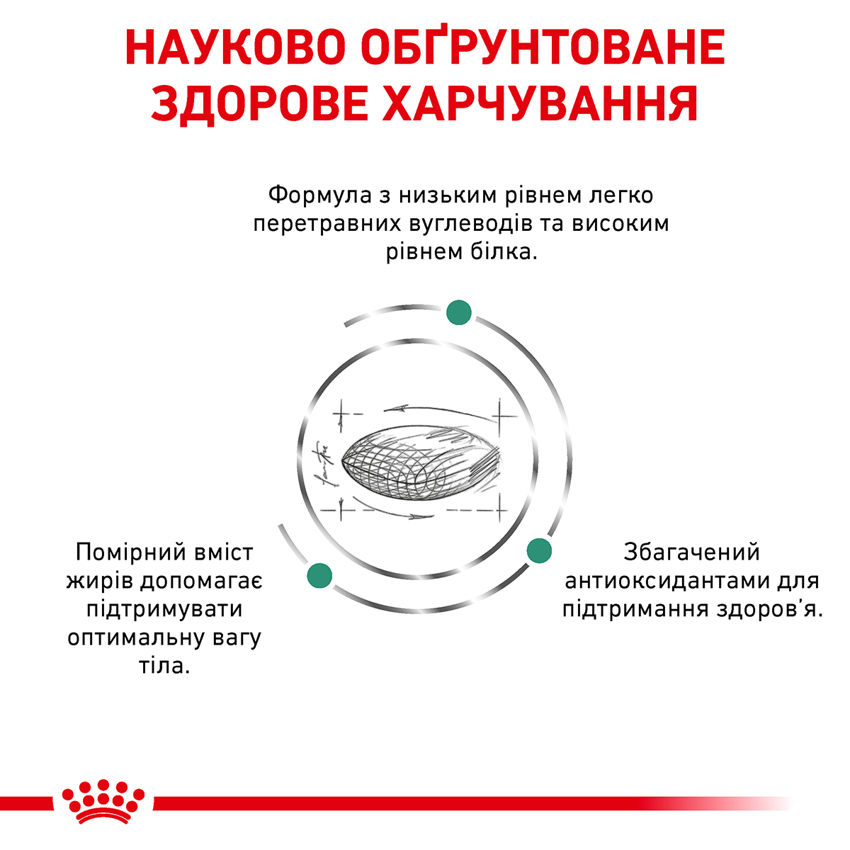 Сухий корм Royal Canin Canine Diabetic для собак при цукровому діабеті 1,5кг