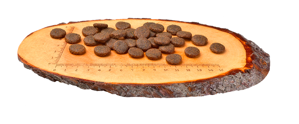 Сухий корм CarniLove Salmon&Turkey Adult Large Breed для собак великих порід 1,5кг