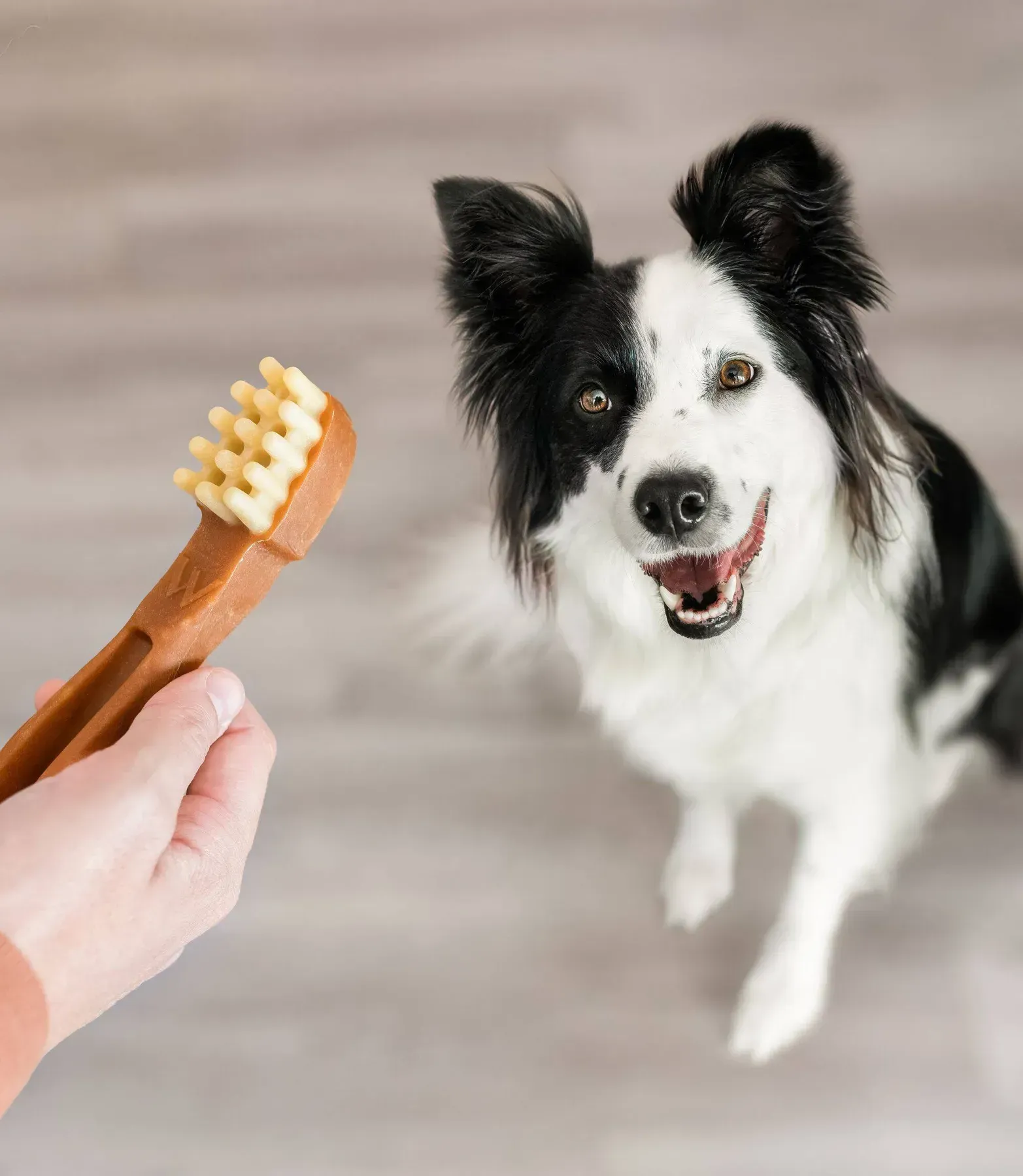 Whimzees Toothbrush Ласощі для собак, у формі зубної щітки, L ,1 шт
