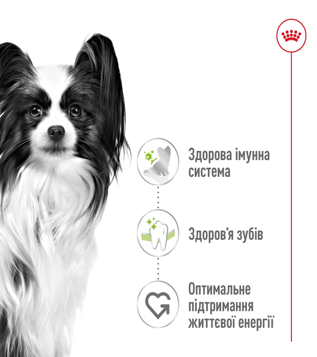 Акція Сухий корм Royal Canin X-Small Adult для собак мініатюрних порід 1.2 кг+300 г