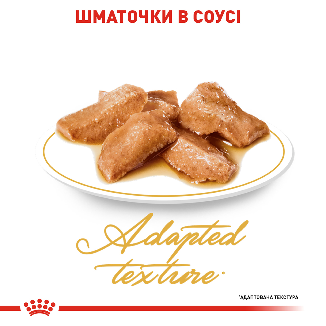 Вологий корм Royal CanIn Maine Coon для котів породи Мейн-кун