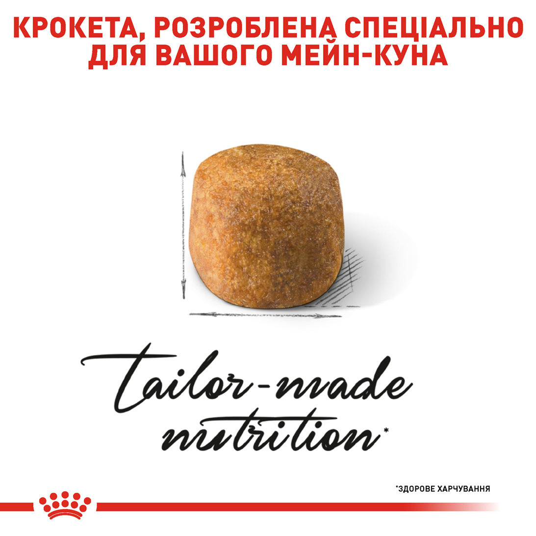 Акція Сухий корм Royal Canin Maine Coon Adult для котів породи Мейн Кун 1.6 кг+400 г