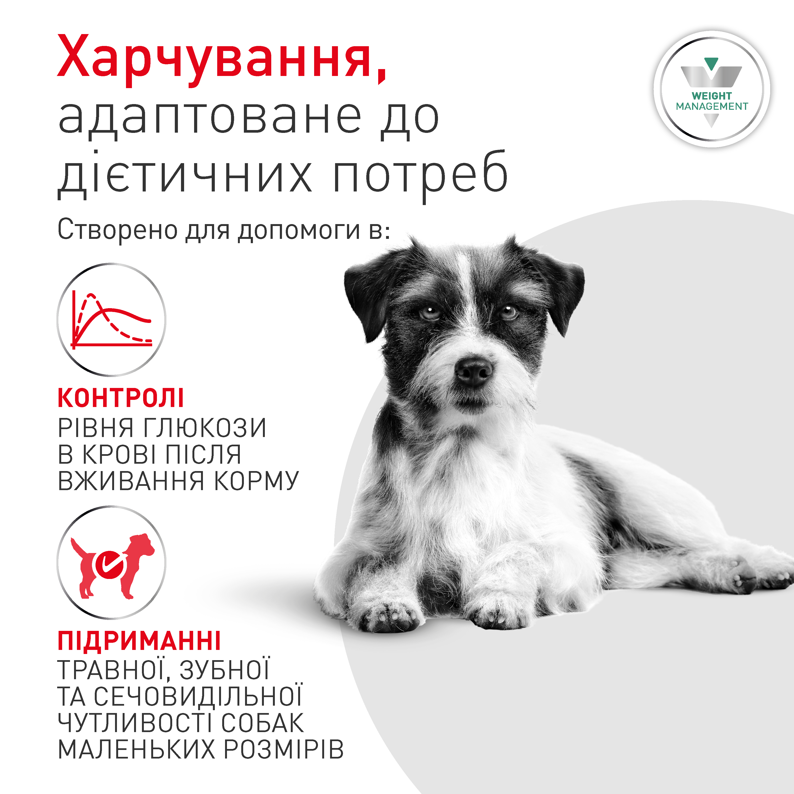 Сухий корм Royal Canin Glycobalance Small Dog для собак малих порід при цукровому діабеті 1,5 кг
